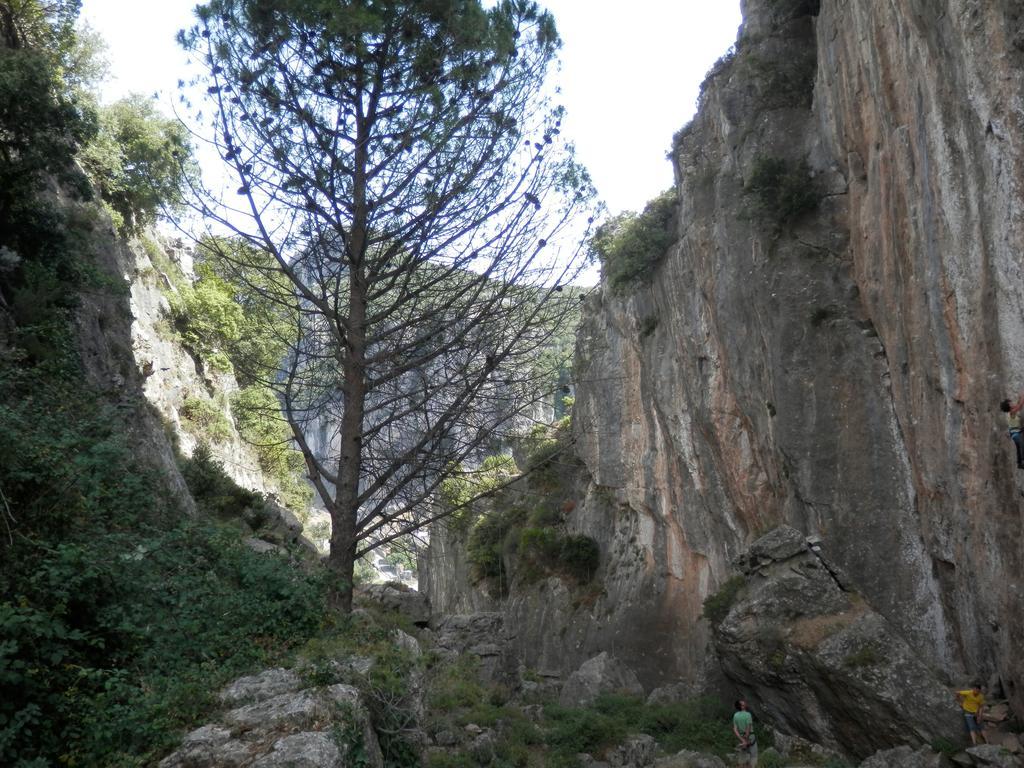 B&B Sa Funtana Cardedu Exteriér fotografie