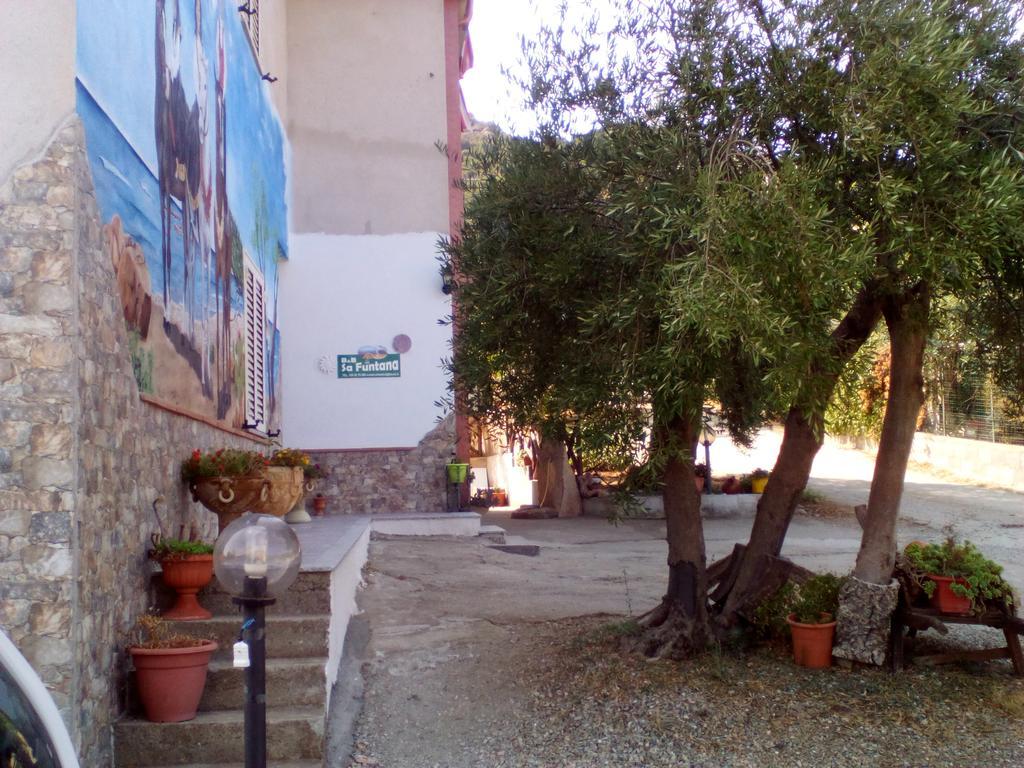 B&B Sa Funtana Cardedu Exteriér fotografie